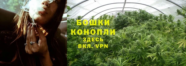 кокс Михайлов